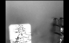 ����24, �Ѱ� �۰� ���� �Ⱓ ��� ������ ��ũ�� �귣������ �ǽ�