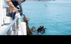 ȯ�����, �Ե���Ʈ�� ���ٴ������ɡ� �ؾ� ��ȭ ķ���� ����