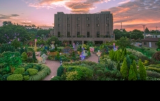 ���� ��굿��, 5�� ��̳� �¾� �������� �� �̺�Ʈ ����