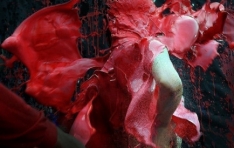 ������ �谡�� �����۰�, ���� �� Ư��������ũ �Կ�ȸ ����