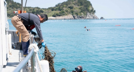 ȯ�����, �Ե���Ʈ�� ���ٴ������ɡ� �ؾ� ��ȭ ķ���� ����