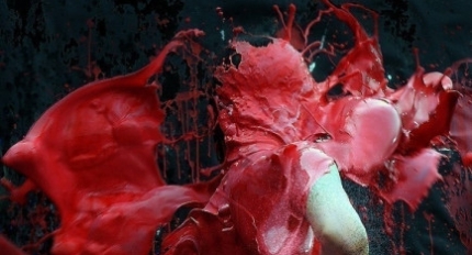 ������ �谡�� �����۰�, ���� �� Ư��������ũ �Կ�ȸ ����