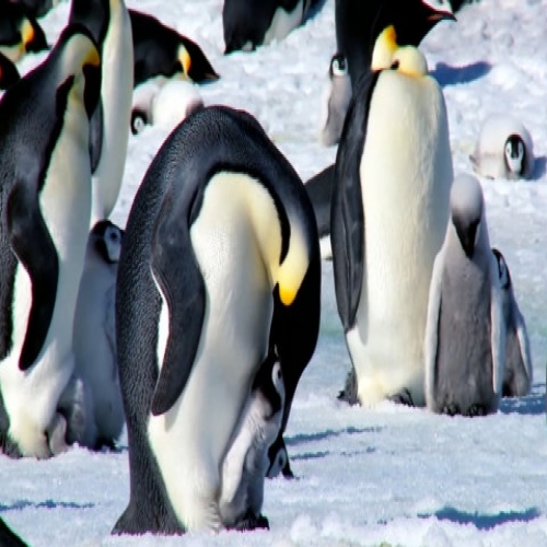 ���� �����ϸ� ��ư��� ���, �� �ϻ��� �������� �־��